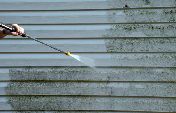 Best Driveway Pressure Washing  in Newton, NJ